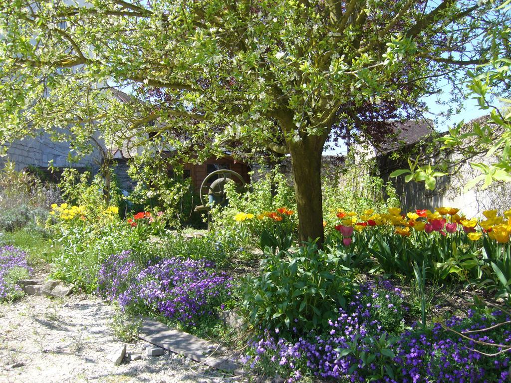 Bed and Breakfast L'instant Présent Pacy-sur-Armancon Esterno foto